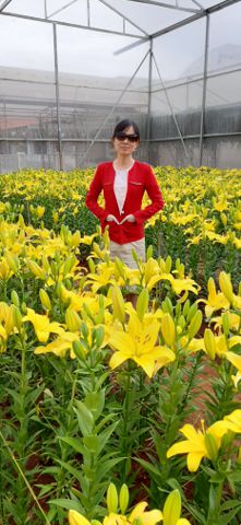 Bạn Nữ Hoa bất tử Độc thân 39 tuổi Tìm bạn bè mới ở Long Xuyên, An Giang