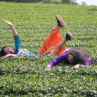 Hà Phương _ Hà Nội - Tìm người yêu lâu dài - Đống Đa, Hà Nội - Tìm tri kỷ