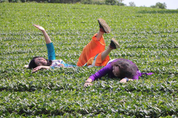 Bạn Nữ Hà Phương Ly dị 60 tuổi Tìm người yêu lâu dài ở Đống Đa, Hà Nội