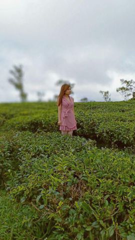 Bạn Nữ Cỏ đuôi gà Độc thân 35 tuổi Tìm người yêu lâu dài ở Chợ Mới, An Giang