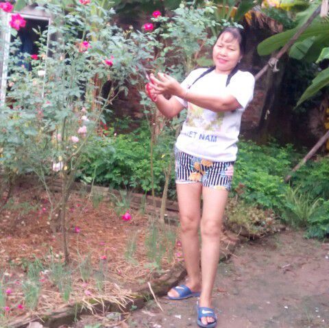 Bạn Nữ Nguyễn thị Ly dị 61 tuổi Tìm người để kết hôn ở TP Hải Dương, Hải Dương