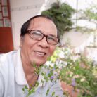 Nhat - Tìm bạn đời - Bến Cát, Bình Dương - Em bình di
