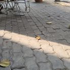 Dragon - Tìm bạn tâm sự - Quận 7, TP Hồ Chí Minh - Dễ gần