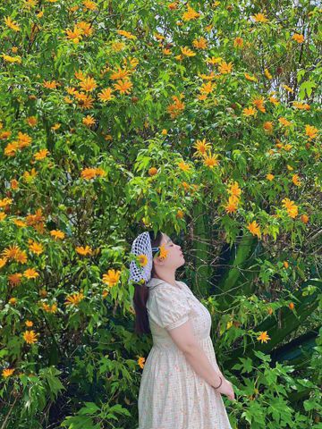 Bạn Nữ Tyty Độc thân 31 tuổi Tìm bạn đời ở Vũng Tàu, Bà Rịa - Vũng Tàu