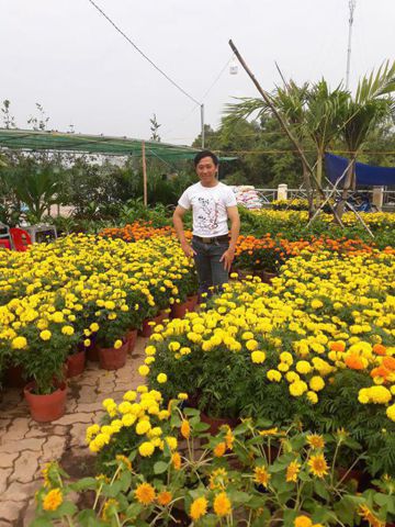 Bạn Nam Hoàng Anh Độc thân 35 tuổi Tìm người để kết hôn ở Tam Nông, Đồng Tháp