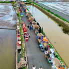 Heo - Tìm người yêu lâu dài - Mỹ Tho, Tiền Giang - Mùa đông lạnh