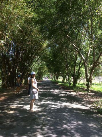 Bạn Nữ Thủy Tiên Ly dị 53 tuổi Tìm người yêu lâu dài ở Thủ Đức, TP Hồ Chí Minh