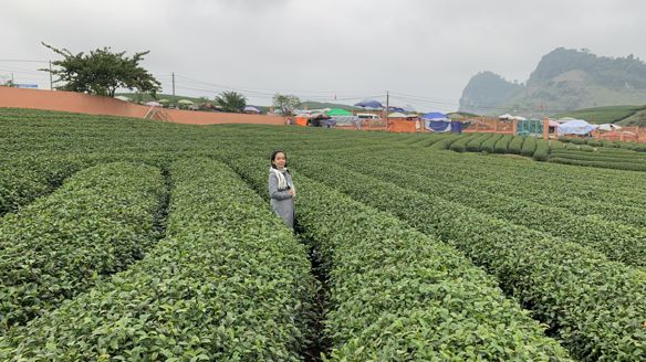 Bạn Nữ NguyenNhan Độc thân 34 tuổi Tìm người để kết hôn ở Quận 12, TP Hồ Chí Minh