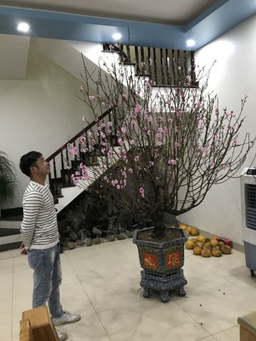 Bạn Nam văn Hân Độc thân 39 tuổi Tìm người để kết hôn ở TP Hưng Yên, Hưng Yên