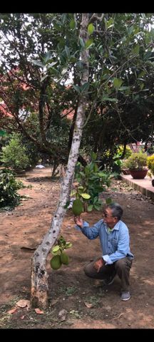 Bạn Nam A tư Ly dị 59 tuổi Tìm bạn bè mới ở Bình Tân, TP Hồ Chí Minh