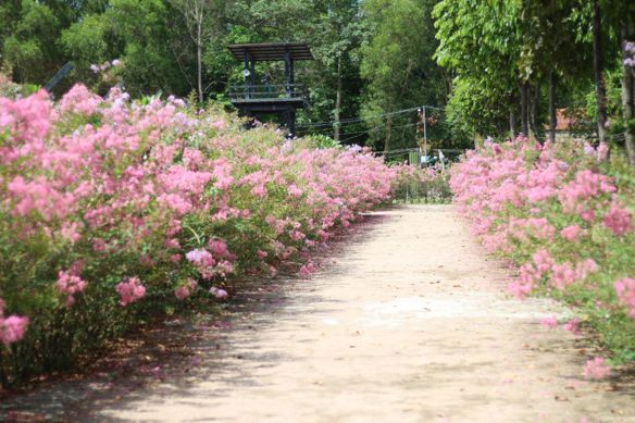 Bạn Nam An Nguyễn Độc thân 45 tuổi Tìm người để kết hôn ở Quận 12, TP Hồ Chí Minh
