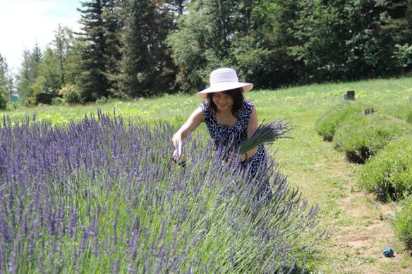 Bạn Nữ An Mai Độc thân 60 tuổi Tìm bạn tâm sự ở Oregon, Mỹ