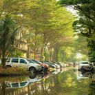 Bạch liên hoa - Tìm bạn đời - Quận 11, TP Hồ Chí Minh - Tìm 1 bến đỗ bình yên