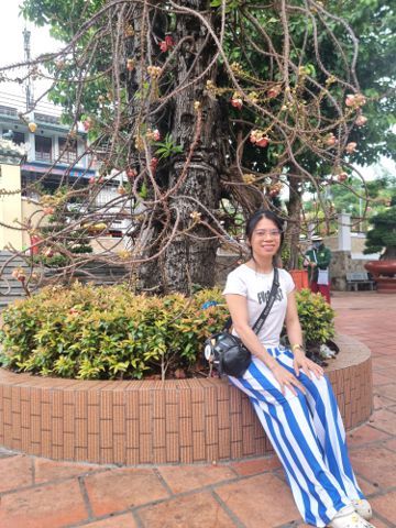 Bạn Nữ Hoanh Bùi Độc thân 31 tuổi Tìm bạn tâm sự ở Vũng Tàu, Bà Rịa - Vũng Tàu
