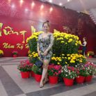 Sen - Tìm bạn tâm sự - Tân Bình, TP Hồ Chí Minh - Tim người hop y