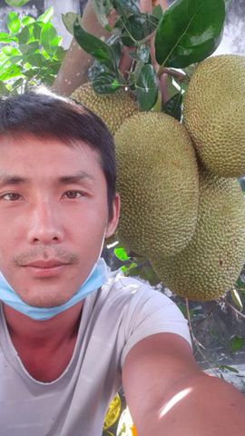 Bạn Nam Củ mì Độc thân 73 tuổi Tìm bạn tâm sự ở Châu Thành, Long An