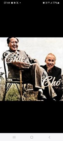 Bạn Nam PHILLIP TRAN Ly dị 68 tuổi Tìm người để kết hôn ở Texas, Mỹ