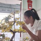 Trâm Nguyễn - Tìm người yêu lâu dài - Ninh Sơn, Ninh Thuận - Tìm người để kết hôn
