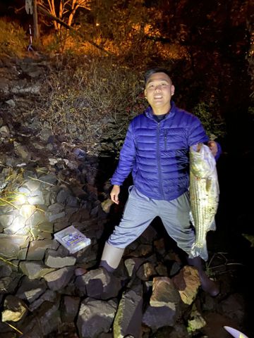 Bạn Nam Phan huynh Ly dị 35 tuổi Tìm người yêu lâu dài ở New Jersey, Mỹ