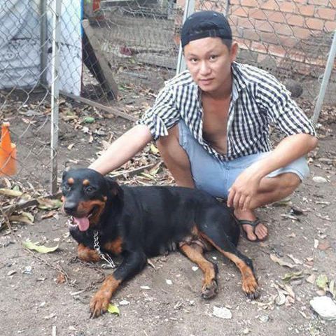 Bạn Nam Quân Báo Độc thân 34 tuổi Tìm người yêu lâu dài ở Quận 12, TP Hồ Chí Minh
