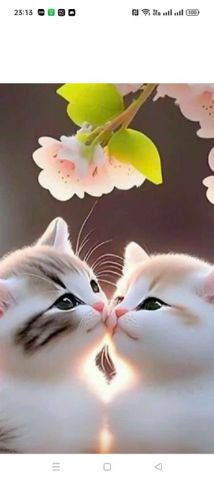 Bạn Nam phạm văn thắng Độc thân 49 tuổi Tìm người để kết hôn ở Hà Đông, Hà Nội