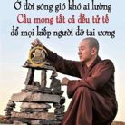 Trần văn Quang - Tìm người để kết hôn - Tân Bình, TP Hồ Chí Minh - Tìm bạn đời