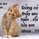 Thanh Thảo - Tìm bạn đời - Quận 5, TP Hồ Chí Minh - Tìm bạn thật lòng , yêu mái ấm gia đình...