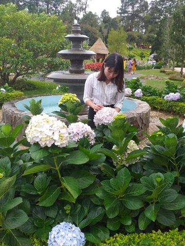 Bạn Nữ Nguyễn hiền Độc thân 31 tuổi Tìm bạn bè mới ở Bình Thạnh, TP Hồ Chí Minh