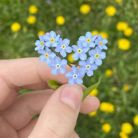 Quý khờ - Tìm người yêu lâu dài - Đồng Phú, Bình Phước - Tìm người để kết hôn