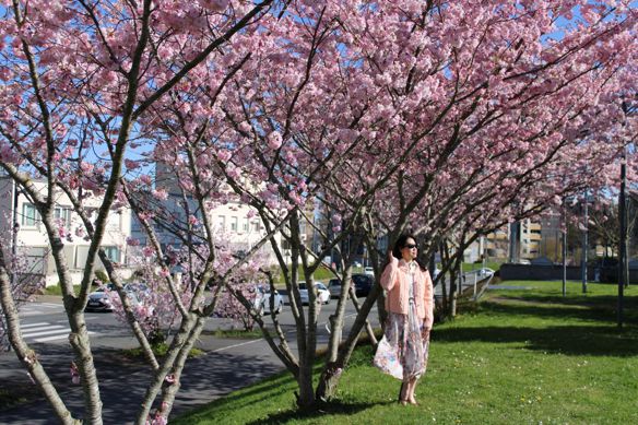 Bạn Nữ CHC Ly dị 50 tuổi Tìm bạn bè mới ở Basse-Normandie, Pháp