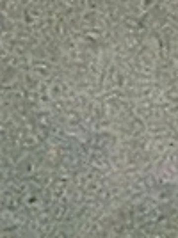 Bạn Nữ Nhật Hạ Ly dị 34 tuổi Tìm bạn bè mới ở TP Bến Tre, Bến Tre