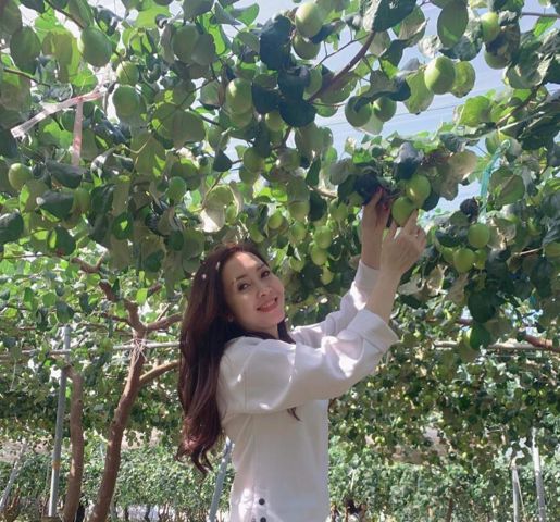 Bạn Nữ Lê Hồng Phượng Độc thân 48 tuổi Tìm người để kết hôn ở TP Sóc Trăng, Sóc Trăng