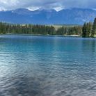 Hoamautim - Tìm bạn bè mới - Ontario, Canada - Hoamautim