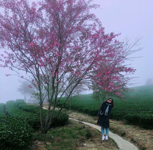 Bạn Nữ Tina Trần Độc thân 42 tuổi Tìm người để kết hôn ở Quận 7, TP Hồ Chí Minh