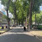 Kim Phượng - Tìm bạn tâm sự - Biên Hòa, Đồng Nai - Đâu cần phải thử thuốc độc mới biết thuốc có độc.