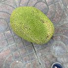 Bảo Tồn - Tìm Người Yêu Lâu Năm - Biên Hòa, Đồng Nai - Tìm Người Yêu