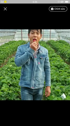 Bạn Nam Viet Độc thân 40 tuổi Tìm người để kết hôn ở Osaka, Nhật