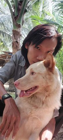 Bạn Nam Thanh Độc thân 36 tuổi Tìm người yêu lâu dài ở Thạnh Phú, Bến Tre