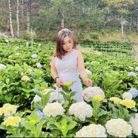 Hướng dương - Tìm người để kết hôn - Quận 3, TP Hồ Chí Minh - Sunflower