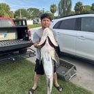 Vince Nguyen - Tìm người để kết hôn - Kentucky, Mỹ - Tìm người để kết hôn