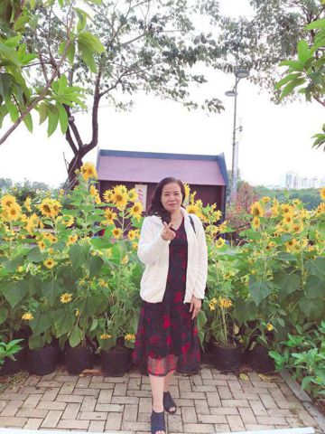Bạn Nữ Hoa Độc thân 59 tuổi Tìm bạn tâm sự ở Quận 7, TP Hồ Chí Minh