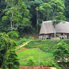 ⁹Lãng Quên - Tìm người để kết hôn - Thủ Dầu Một, Bình Dương - Tri kỷ, người ở nơi đâu mà tôi đi tìm mãi