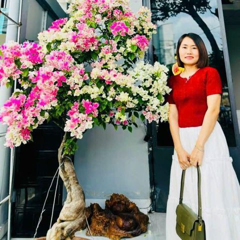 Bạn Nữ Thị Bích Độc thân 35 tuổi Tìm bạn đời ở Biên Hòa, Đồng Nai