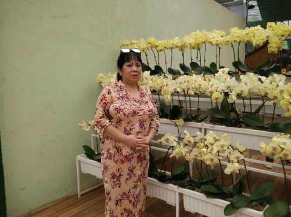 Bạn Nữ Thanh Loan Ly dị 57 tuổi Tìm bạn đời ở Quận 11, TP Hồ Chí Minh