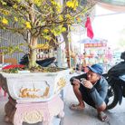 An - Tìm người yêu lâu dài - Xuân Hòa, Hồ Chí Minh - lac quan