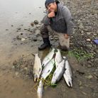 Tuan Huynh - Tìm người yêu lâu dài - Washington, Mỹ - nghiêm túc