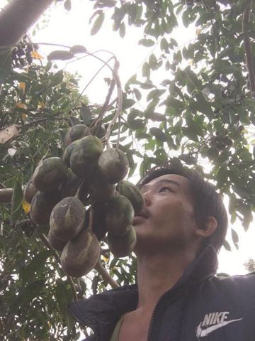 Bạn Nam Tô Đông Pha Độc thân 34 tuổi Tìm người yêu lâu dài ở Tân Phú, Đồng Nai