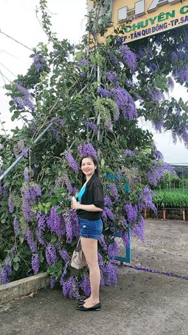 Bạn Nữ T Trâm Độc thân 44 tuổi Tìm người yêu lâu dài ở Bình Tân, TP Hồ Chí Minh