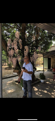 Bạn Nam Lập Độc thân 49 tuổi Tìm bạn đời ở Quận 3, TP Hồ Chí Minh