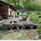 Tâm mai - Tìm bạn đời - TP Bến Tre, Bến Tre - Tìm hạnh phuc